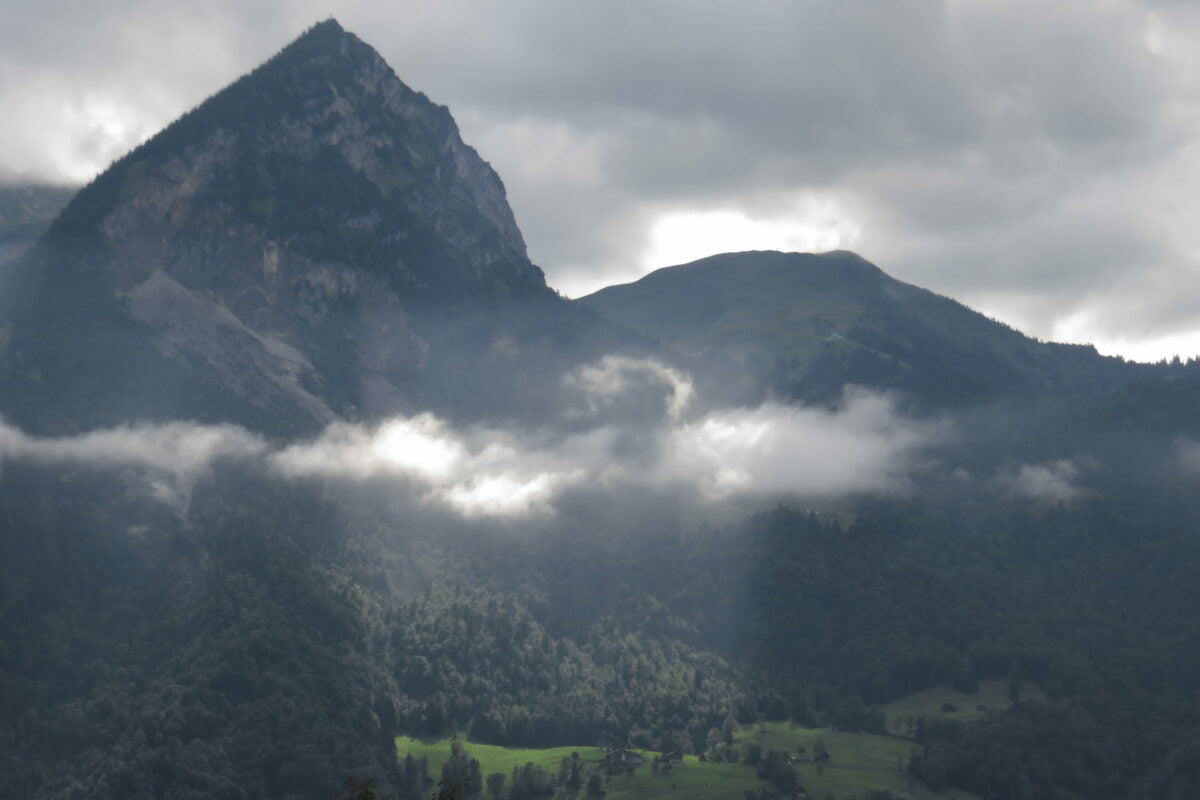 Graswurzle Unterwalden
