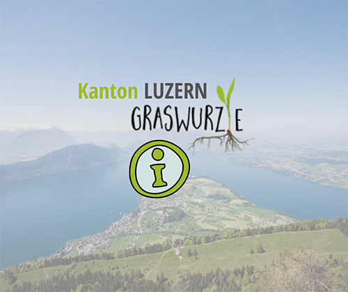 Graswurzle Kanton Luzern
