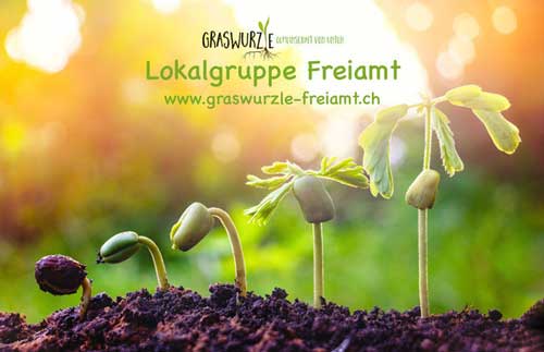 Graswurzle Freiamt AG